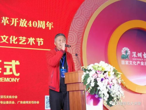 深圳首届赏石文化艺术节开幕
