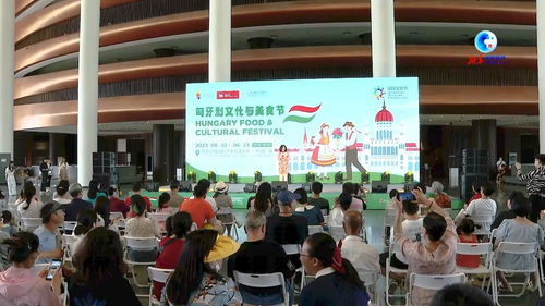全球连线 以美食促交流 匈牙利文化与美食节亮相河北廊坊