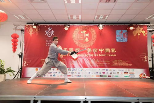 中国年文化在匈牙利绽放奇花, 欢乐春节 美丽中国春 活动现场人潮涌动 精彩视频集锦 高清图组