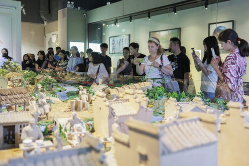 北京朝阳开展端午传统文化国际交流体验活动