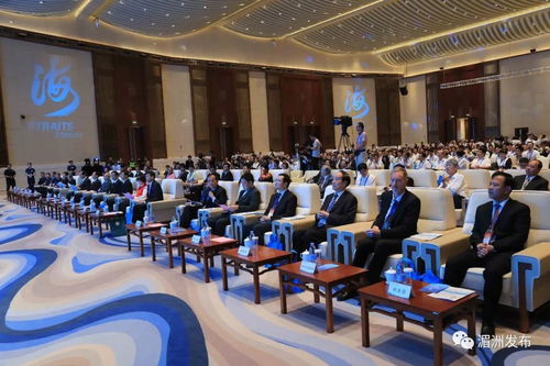 第十届海峡论坛 妈祖文化活动周暨海峡两岸 妈祖与健康 高峰论坛在湄洲岛开幕