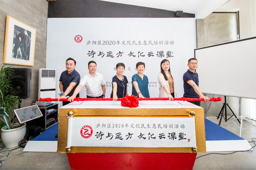 诗与远方 尽在 云课堂 庐阳区启动公共文化艺术培训线上服务