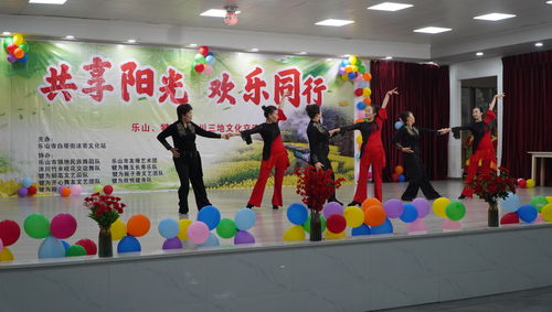 共享阳光 欢乐同行 文化交流活动在犍为举行