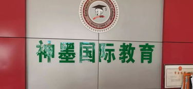 校外培训机构整治工作有喜有忧，文化艺术交流活动策划如何助力教育生态优化