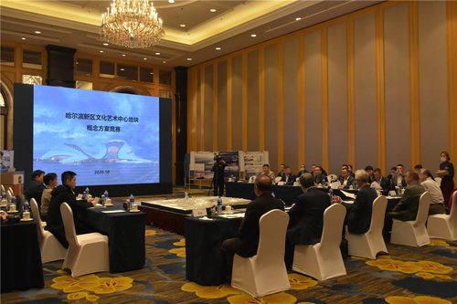 哈尔滨新区文化艺术中心项目建设迈出重要步伐 规划设计招标圆满完成，文化艺术交流活动蓄势待发